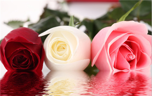 0bd3750caad84c99a1d159cb64485d3c.png