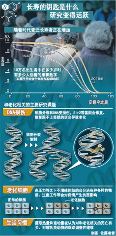 1129-03-1-M.jpg